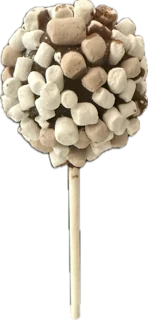 S'mores Cake Pop gourmet cake pop by Miss Confection