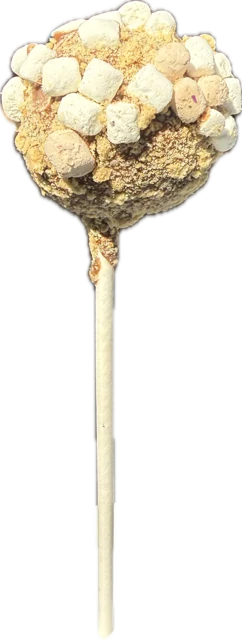S'mores gourmet cake pop on a stick, chocolate cake with toasted marshmallow creme rolled in graham crumble